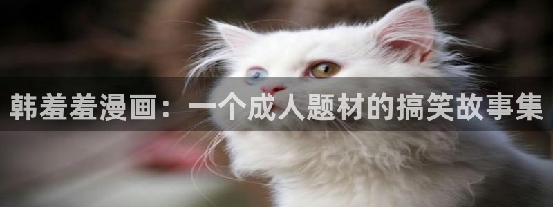 腐漫画网