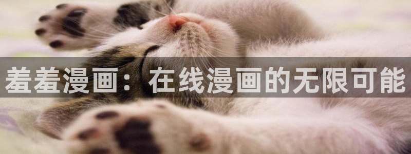 苹果omofun网页版入口