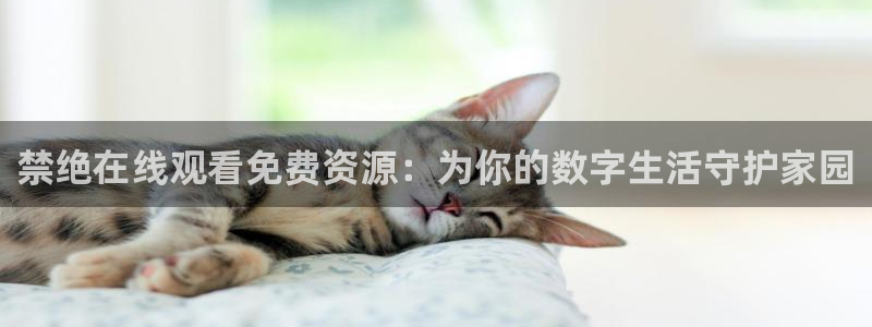 omofun动漫官网在线看