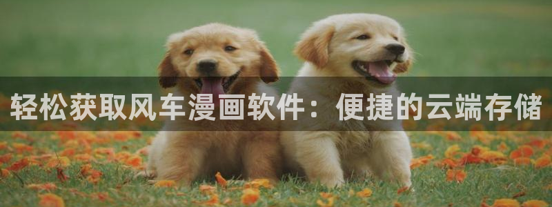 omofun动漫官网在线看