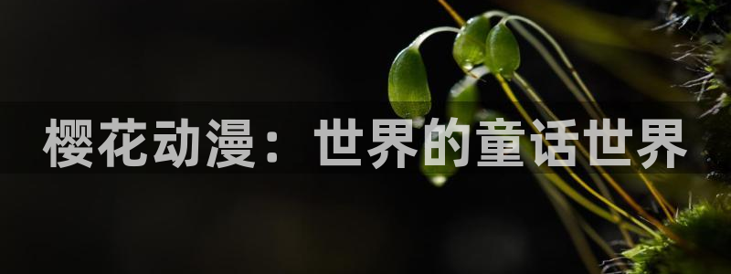 omofun永久发布页