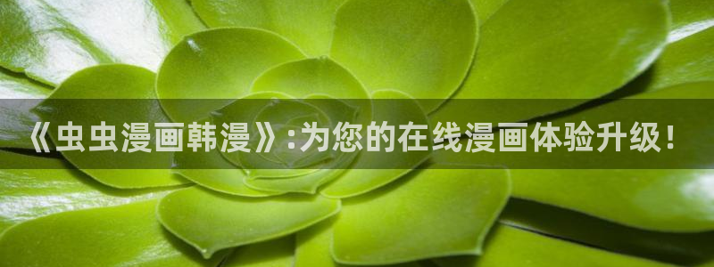 omofun新版本下载