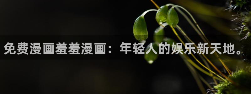 omofun弹幕网