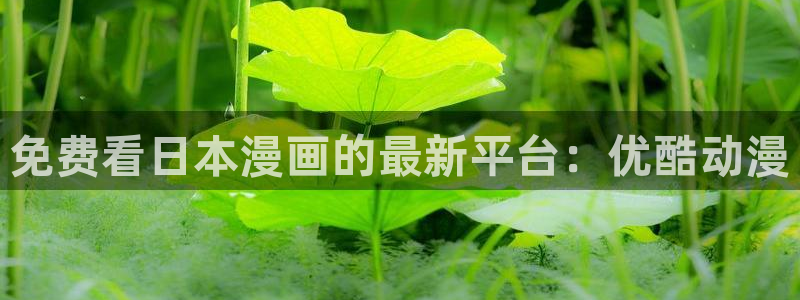 omofun动漫免费看