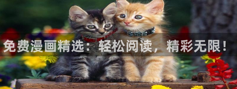 omofun在线