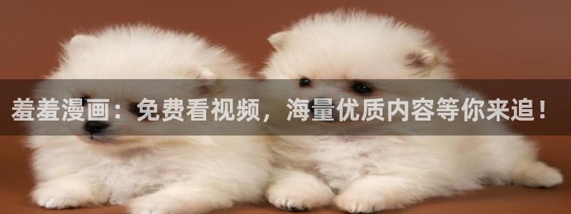 omofun苹果自签